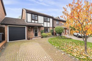 Photo 3- click for photo gallery